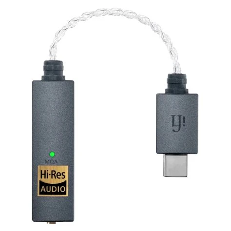 iFI AUDIO GO LINK PORTABLE AUDIO - Afbeelding 2