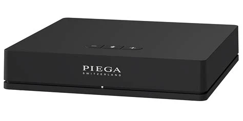 Piega PREMIUM Active Wireless 301 luidspreker - Afbeelding 3
