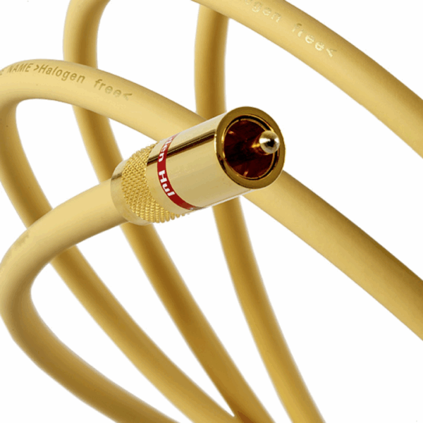 VAN DEN HUL THE NAME