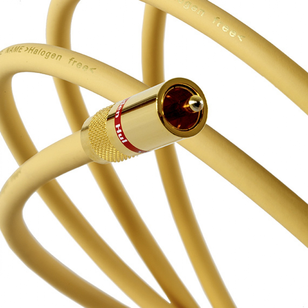 VAN DEN HUL THE NAME