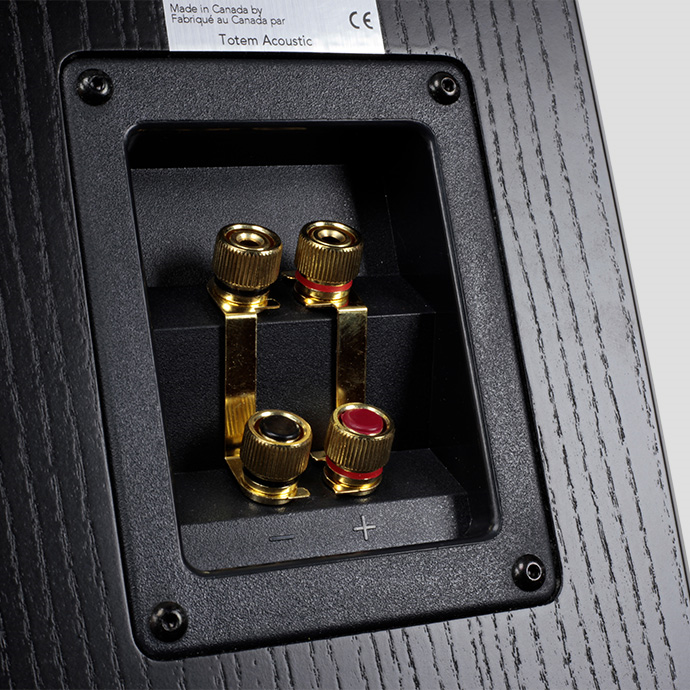 Totem BISON TWIN TOWER zwart essen luidspreker - Afbeelding 4