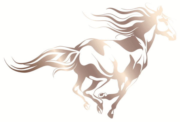 AudioQuest BLACK BEAUTY XLR 1,5 mtr KABELS