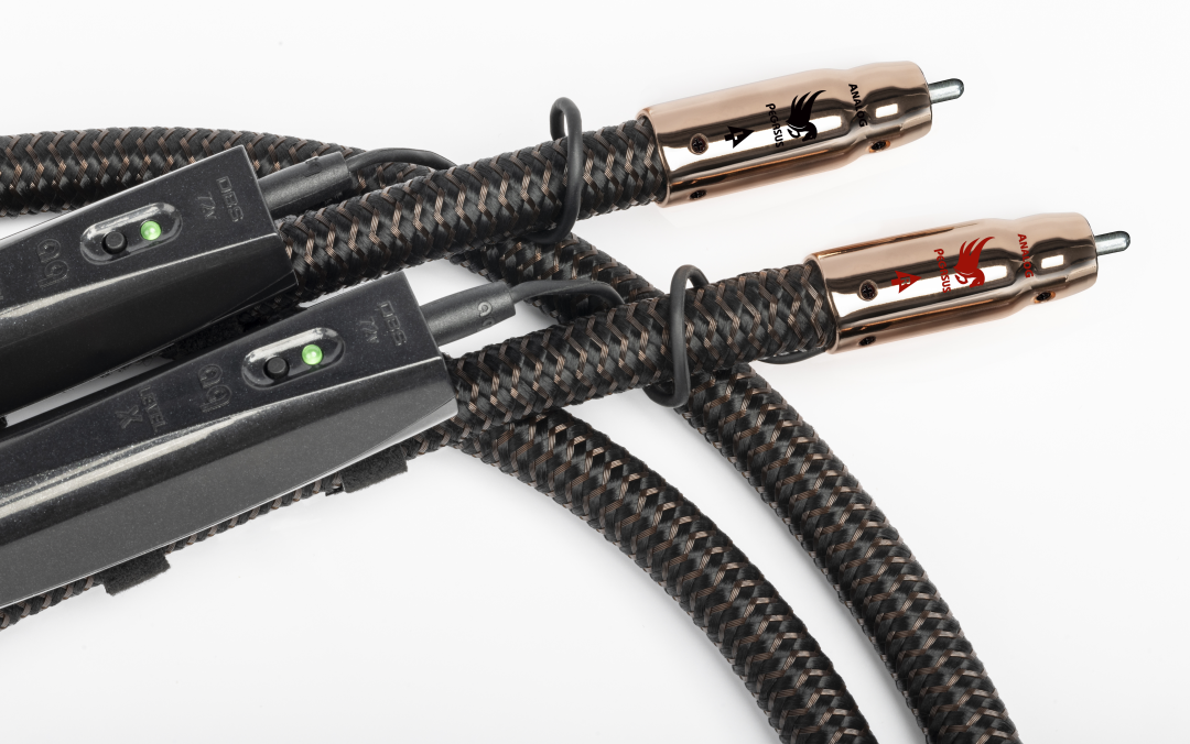 AudioQuest PEGASUS RCA 1mtr KABELS - Afbeelding 5