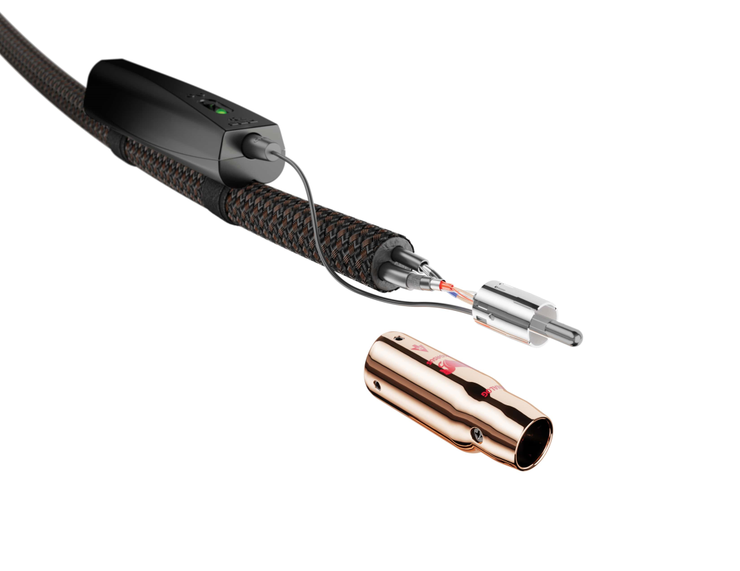 AudioQuest PEGASUS RCA 1mtr KABELS - Afbeelding 8