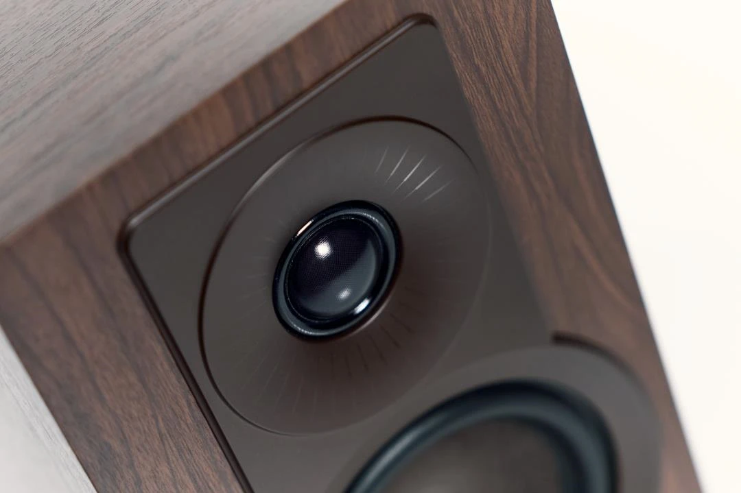 Dali KUPID walnoot luidspreker - Afbeelding 3