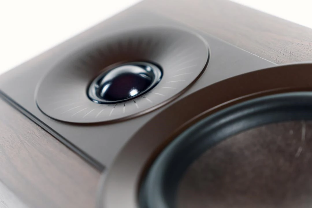 Dali KUPID walnoot luidspreker - Afbeelding 8