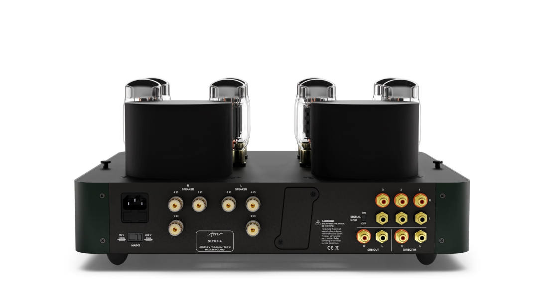 FEZZ OLYMPIA groen VERSTERKER - Afbeelding 4