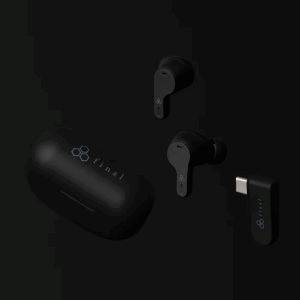 FINAL VR3000 SV zwart in-ear