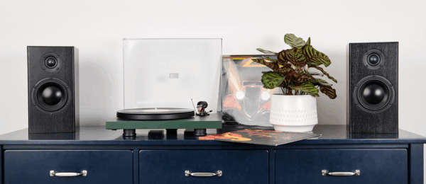 Totem BISON zwart essen luidspreker