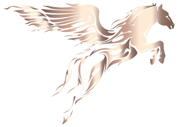 AudioQuest PEGASUS XLR 0,6mtr KABELS