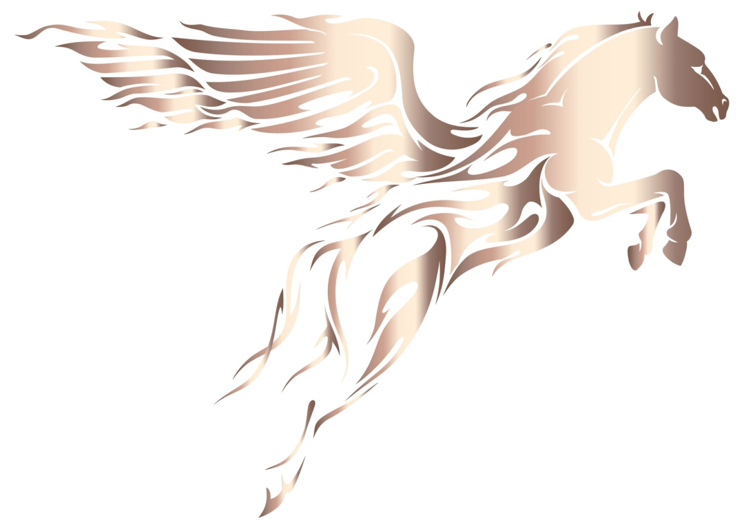 AudioQuest PEGASUS XLR 0,6mtr KABELS