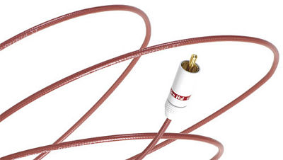 VAN DEN HUL THE ORCHID - Afbeelding 2