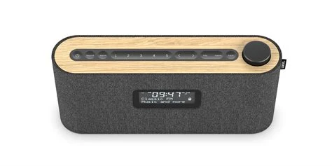 Loewe RADIO.FREQUENCY PORTABLE AUDIO