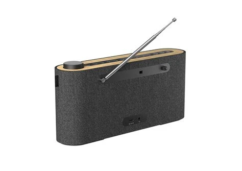Loewe RADIO.FREQUENCY PORTABLE AUDIO - Afbeelding 4